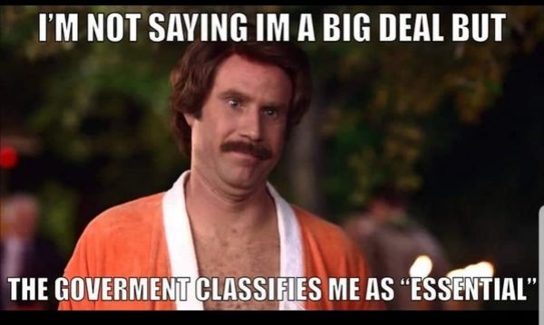 gdpr meme - I'M Not Saying Im A Big Deal But The Goverment Classifies Me As "Essential"
