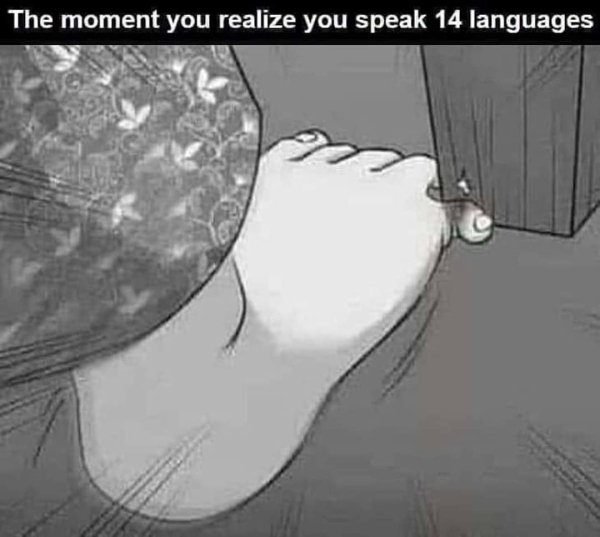 moment you realize you speak 14 languages - The moment you realize you speak 14 languages