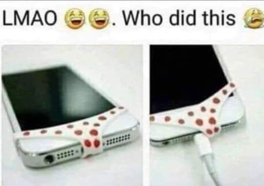 phone panties - Lmao . Who did this
