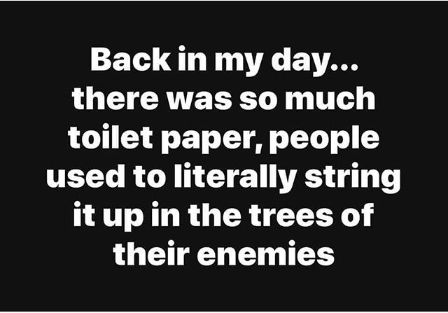 corona virus memes toilet paper - Back in my day... there was so much toilet paper, people used to literally string it up in the trees of their enemies