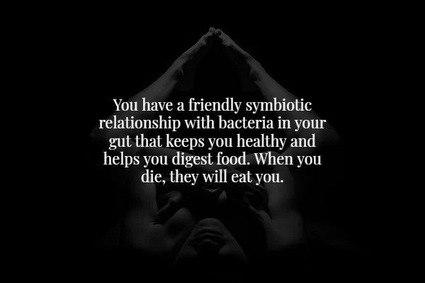 monochrome photography - You have a friendly symbiotic relationship with bacteria in your gut that keeps you healthy and helps you digest food. When you die, they will eat you.