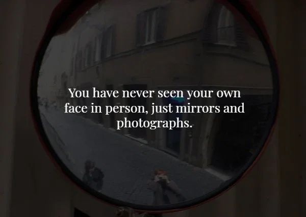 scary facts about mirrors - You have never seen your own face in person, just mirrors and photographs.