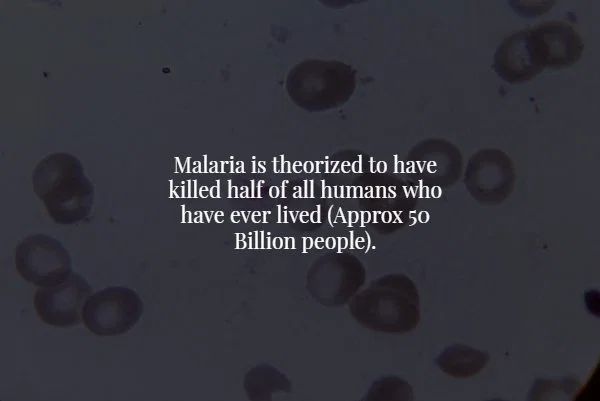 atmosphere - Malaria is theorized to have killed half of all humans who have ever lived Approx 50 Billion people.