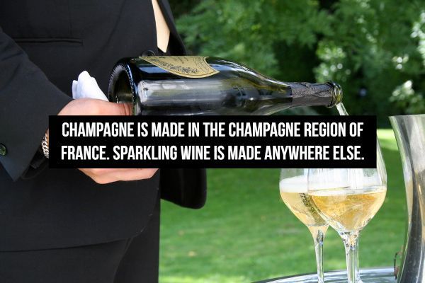 champagne france dom perignon - Champagne Is Made In The Champagne Region Of France. Sparkling Wine Is Made Anywhere Else.