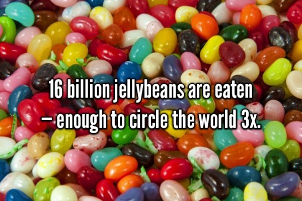 jelly bean - 16 billion jellybeans are eaten enough to circle the world 3x.