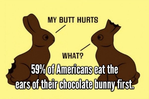 my butt hurts - My Butt Hurts What? 59% of Americans eat the ears of their chocolate bunny first.