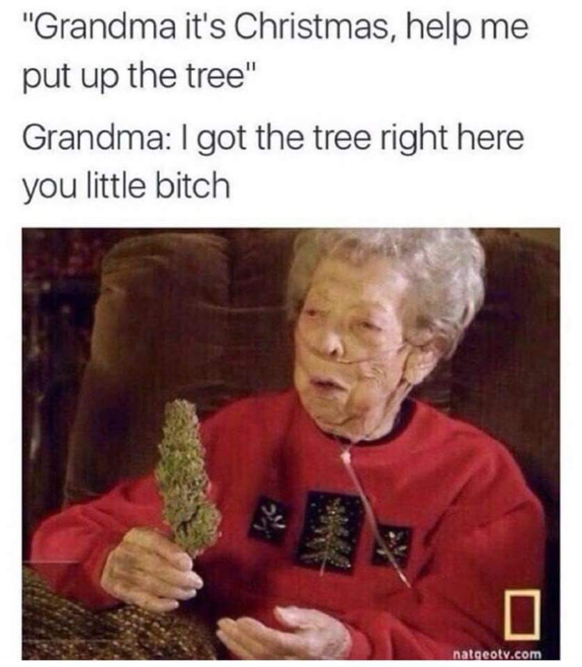best christmas meme - "Grandma it's Christmas, help me put up the tree" Grandma I got the tree right here you little bitch natgeoty.com