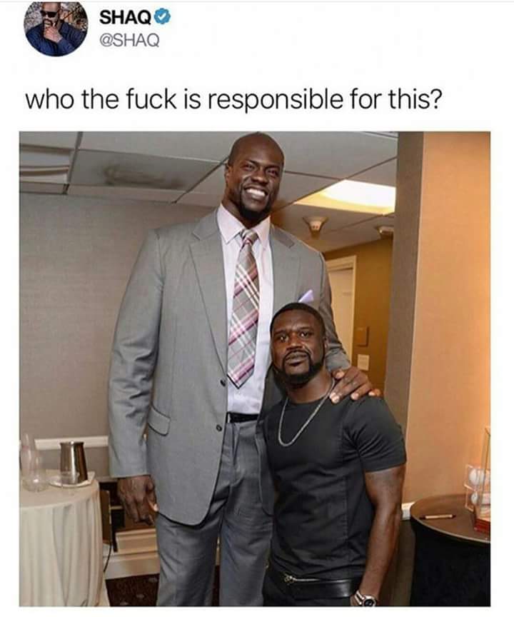 shaq and kevin hart face swap - Shaq who the fuck is responsible for this?