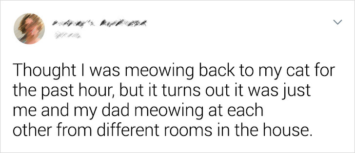 Thought I was meowing back to my cat for the past hour, but it turns out it was just me and my dad meowing at each other from different rooms in the house.