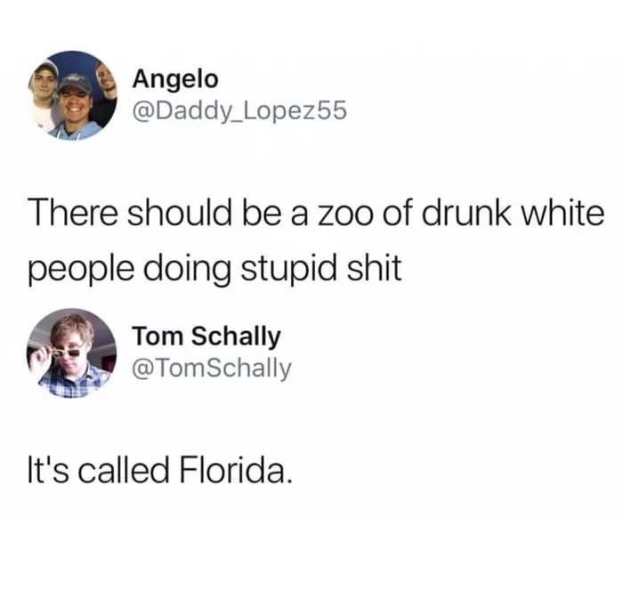 funny tweets responses - Angelo There should be a zoo of drunk white people doing stupid shit Tom Schally Schally It's called Florida.
