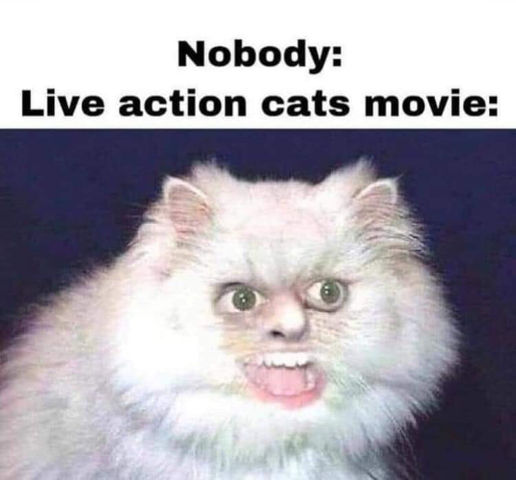 live action cat movie memes - Nobody Live action cats movie