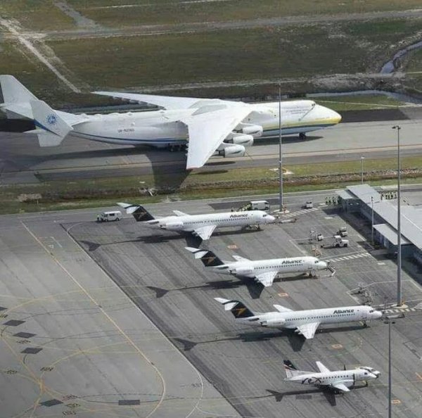 The difference between the size of the largest aircraft in the world and the size of other regular aircraft