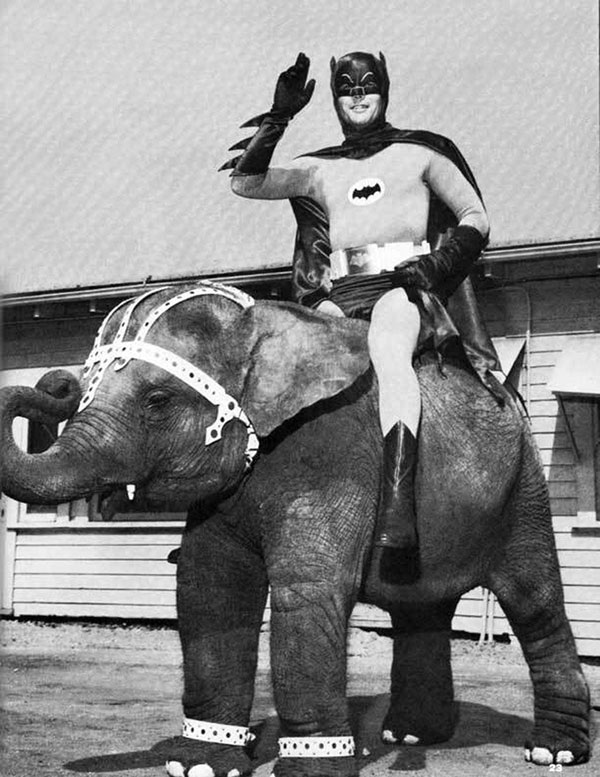 batman riding an elephant