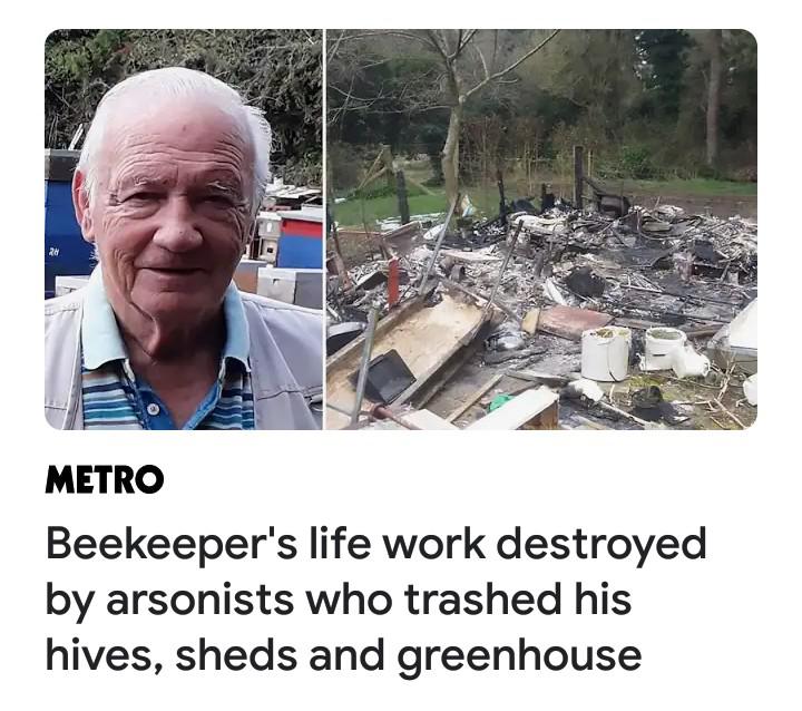 waste - Metro Beekeeper's life work destroyed by arsonists who trashed his hives, sheds and greenhouse