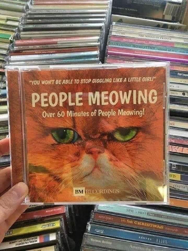 60 minutes of people meowing - Myou Won'T Be Able To Stop Giggling A Little Girl!" People Meowing Over 60 Minutes of People Meowing! Bm Recordings Nefnd Christmas Dix 2 29011 W nv Wwon Na Tvw line