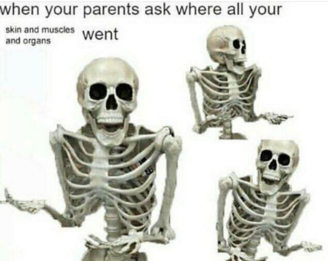 spooky memes - when your parents ask where all your skin and muscles went and organs