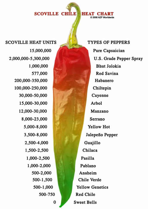 1st hottest pepper in the world - Scoville Chile Heat Chart 2008 Azp Worldwide Types Of Peppers Scoville Heat Units 15,000,000 2,000,0005,300,000 1,000,000 577,000 200,000350,000 100,000250,000 30,00050,000 15,00030,000 12,00030,000 8,00023,000 5,0008,000