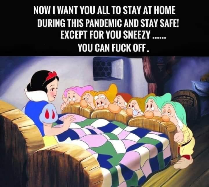 snow white meets the seven dwarfs - Now I Want You All To Stay At Home During This Pandemic And Stay Safe! Except For You Sneezy ...... You Can Fuck Off.