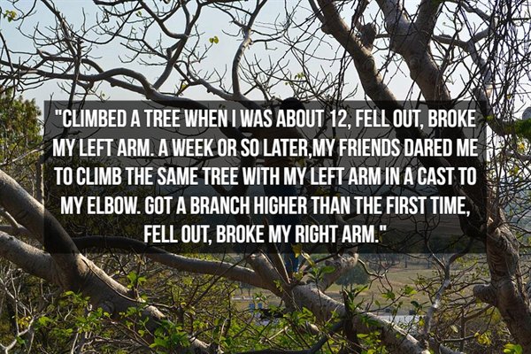 nature - "Climbed A Tree When I Was About 12, Fell Out, Broke My Left Arm. A Week Or So Later,My Friends Dared Me To Climb The Same Tree With My Left Arm In A Cast To My Elbow. Got A Branch Higher Than The First Time. Fell Out, Broke My Right Arm."