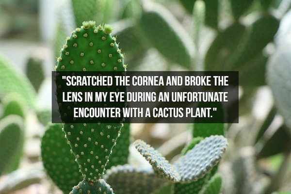 nopal - "Scratched The Cornea And Broke The Lens In My Eye During An Unfortunate Encounter With A Cactus Plant."