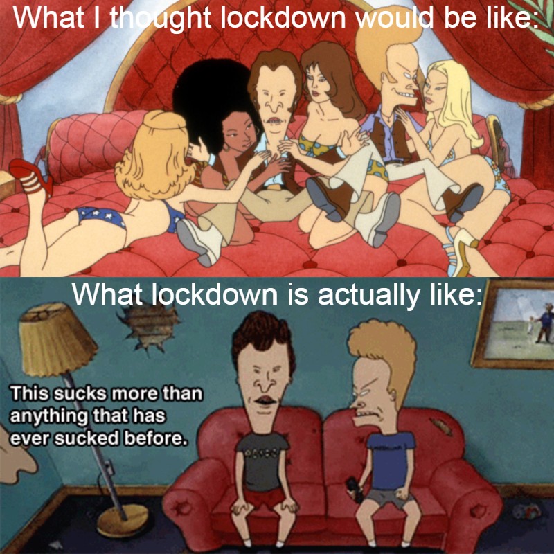 Mike Judge - What I thought lockdown would be What lockdown is actually This sucks more than anything that has ever sucked before.