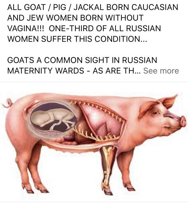 pig progress - All Goat Pig Jackal Born Caucasian And Jew Women Born Without Vagina!!! OneThird Of All Russian Women Suffer This Condition... Goats A Common Sight In Russian Maternity Wards As Are Th... See more