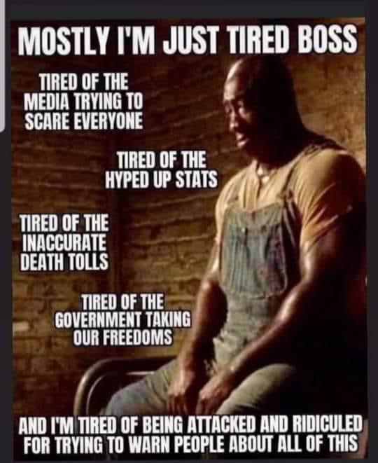 photo caption - Mostly I'M Just Tired Boss Tired Of The Media Trying To Scare Everyone Tired Of The Hyped Up Stats Tired Of The Inaccurate Death Tolls Tired Of The Government Taking Our Freedoms And I'M Tired Of Being Attacked And Ridiculed For Trying To 