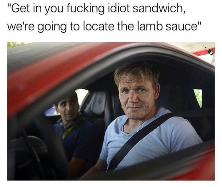 get in you idiot sandwich - "Get in you fucking idiot sandwich, we're going to locate the lamb sauce"
