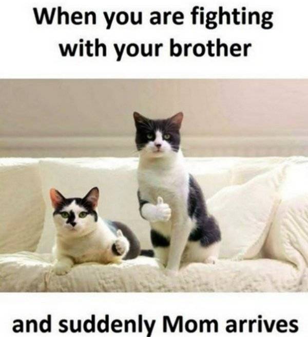 funny quotes funny memes - When you are fighting with your brother and suddenly Mom arrives