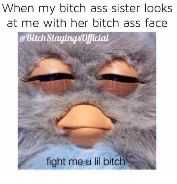 fight me you little bitch - When my bitch ass sister looks at me with her bitch ass face SlayingsOfficial fight me u lil bitch