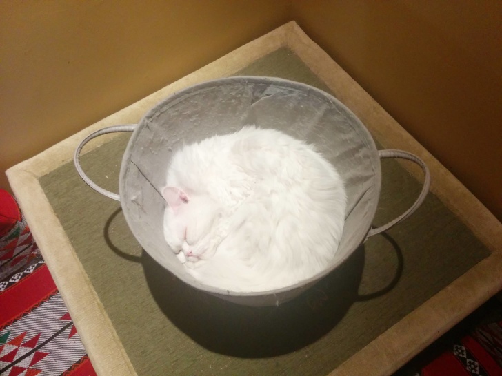 I don’t remember adding flour to this basket.