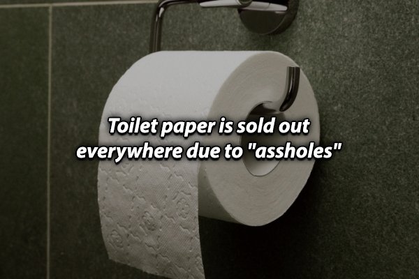 toilet paper - Toilet paper is sold out everywhere due to "assholes"