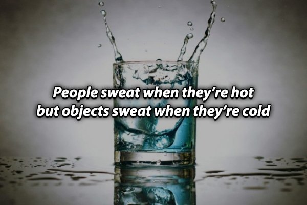 Health - O. People sweat when they're hot but objects sweat when they're cold