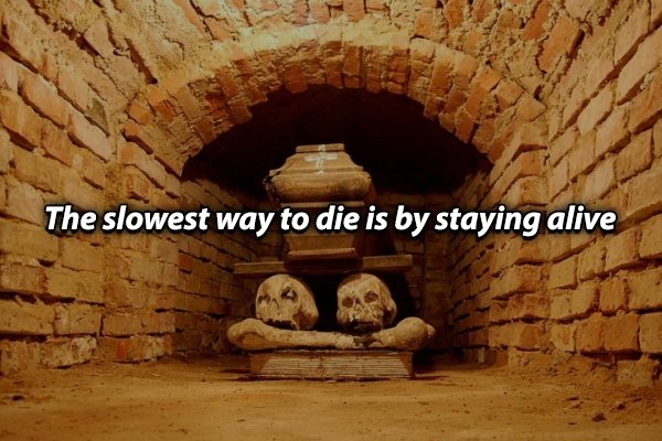 wola gułowska - The slowest way to die is by staying alive