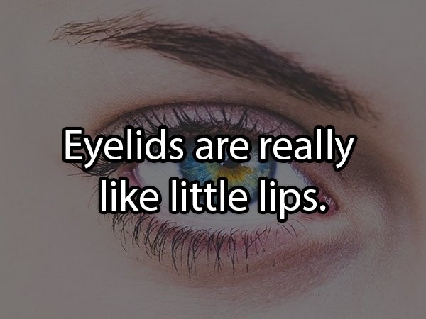 close up - Eyelids are really little lips.
