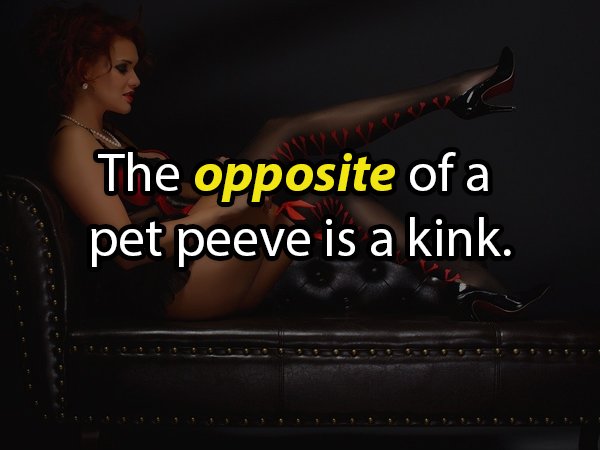 darkness - The opposite of a pet peeve is a kink.