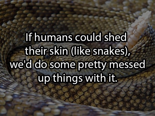 coronavirus snakes - If humans could shed their skin snakes, we'd do some pretty messed up things with it.