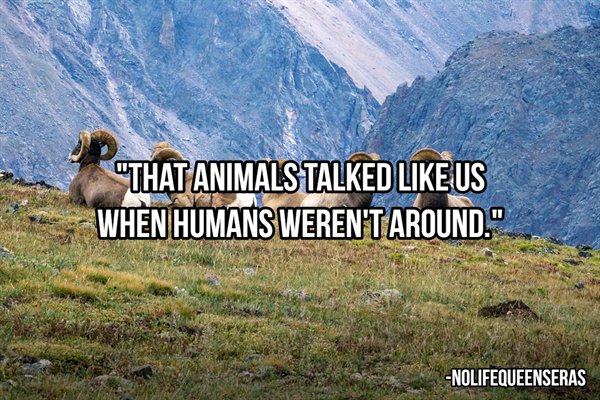 Rocky Mountain National Park - "That Animals Talked Us When Humans Weren'T Around." Nolifequeenseras