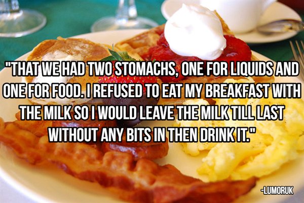 "That We Had Two Stomachs, One For Liquids And One For Food. I Refused To Eat My Breakfast With The Milk So I Would Leave The Milk Tilllast Without Any Bits In Then Drink It." Lumoruk