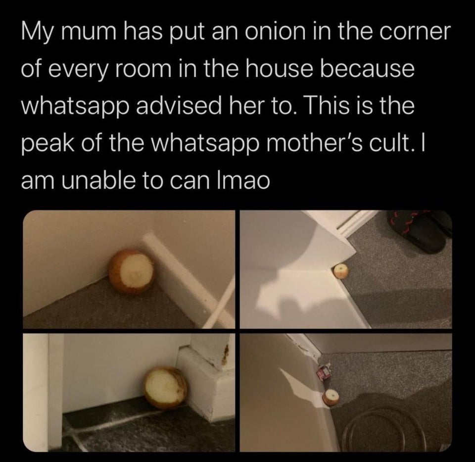 material - My mum has put an onion in the corner of every room in the house because whatsapp advised her to. This is the peak of the whatsapp mother's cult. I am unable to can Imao