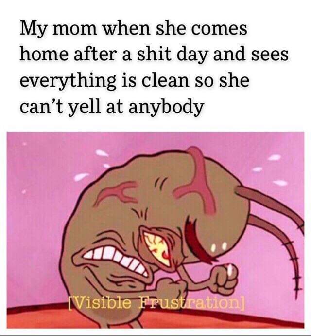 frustration memes - My mom when she comes home after a shit day and sees everything is clean so she can't yell at anybody Visible Frustration