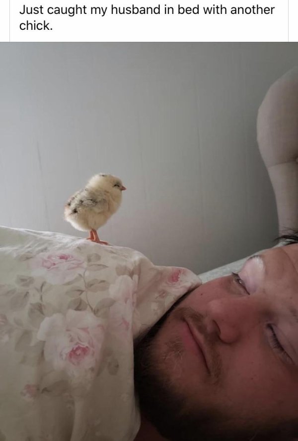 photo caption - Just caught my husband in bed with another chick.