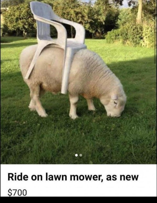 r crackheadcraigslist - Ride on lawn mower, as new $700