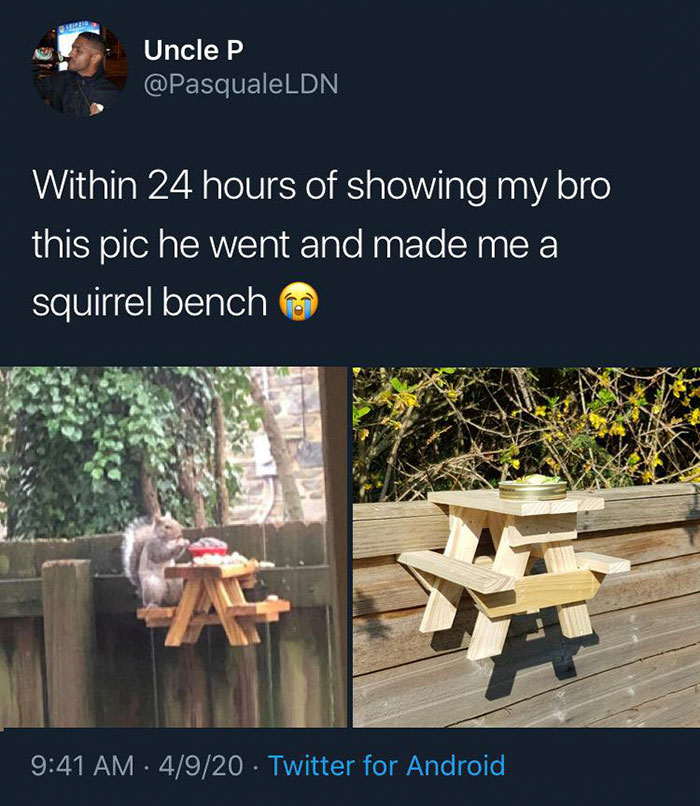 wood - Uncle P Within 24 hours of showing my bro this pic he went and made me a squirrel bench 4920 Twitter for Android