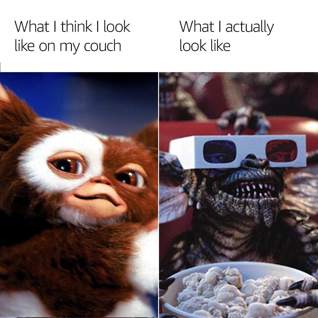 gremlins funny - What I think I look on my couch What I actually look