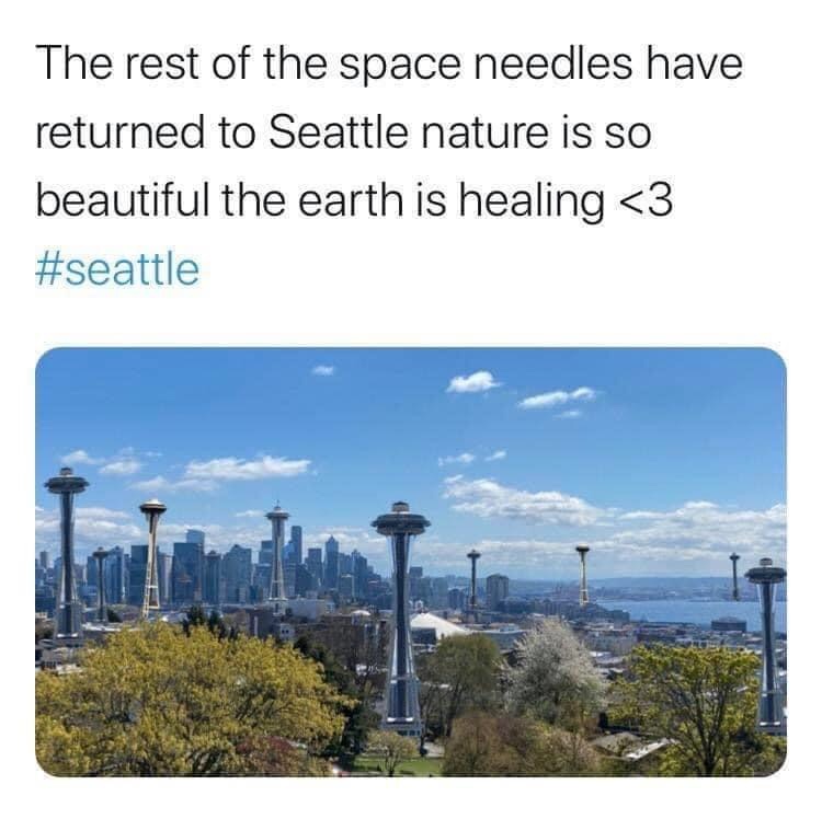 water resources - The rest of the space needles have returned to Seattle nature is so beautiful the earth is healing