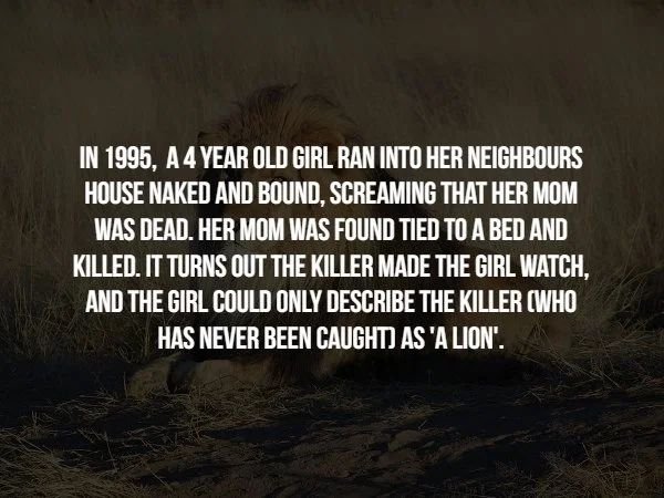 darkness - In 1995. A 4 Year Old Girl Ran Into Her Neighbours House Naked And Bound. Screaming That Her Mom Was Dead. Her Mom Was Found Tied To A Bed And Killed. It Turns Out The Killer Made The Girl Watch. And The Girl Could Only Describe The Killer Who 