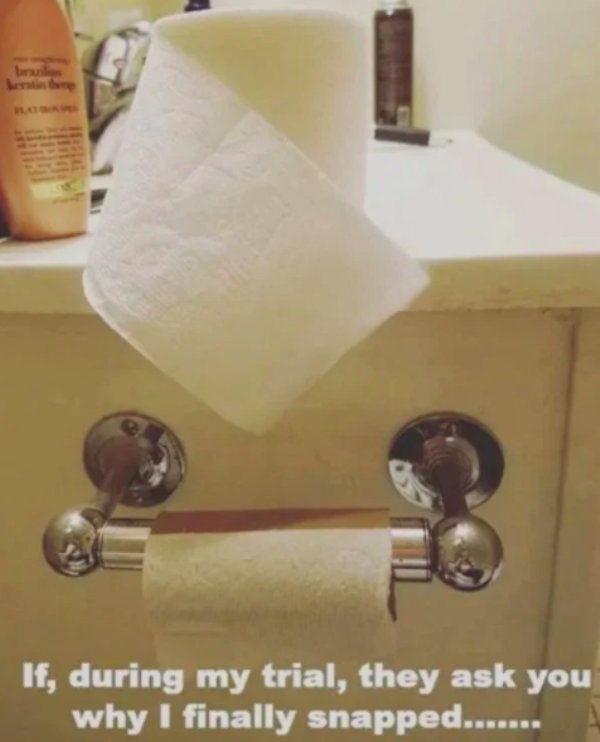 empty toilet roll meme - Linuri If, during my trial, they ask you why I finally snapped.......