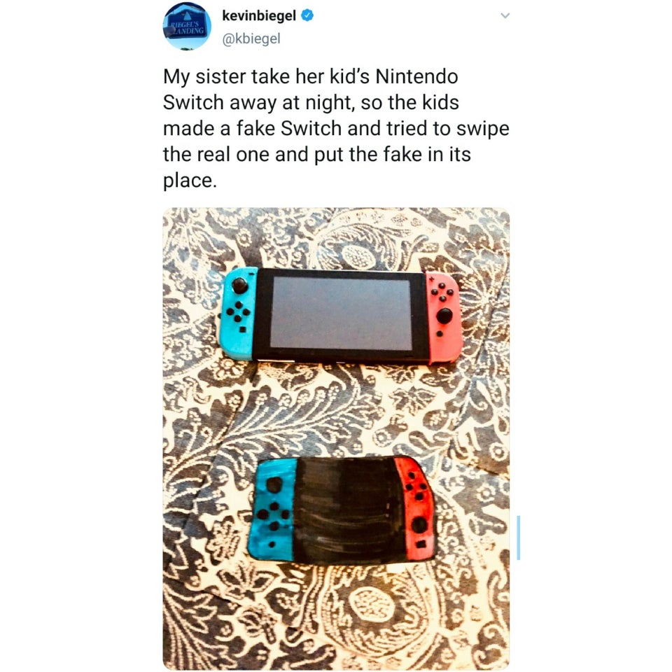 electronics - Riegels Landing kevinbiegel My sister take her kid's Nintendo Switch away at night, so the kids made a fake Switch and tried to swipe the real one and put the fake in its place.