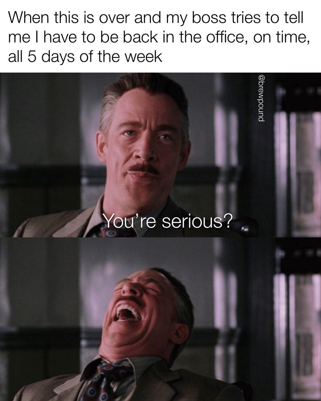 spiderman gwen meme - When this is over and my boss tries to tell me I have to be back in the office, on time, all 5 days of the week You're serious? .